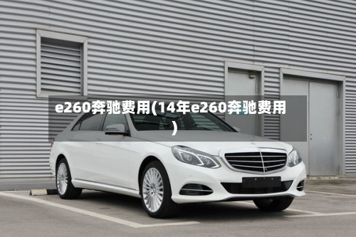 e260奔驰费用(14年e260奔驰费用)-第2张图片
