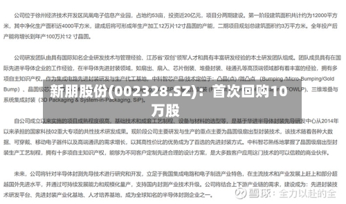 新朋股份(002328.SZ)：首次回购10万股