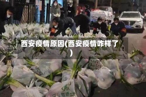 西安疫情原因(西安疫情咋样了)-第2张图片