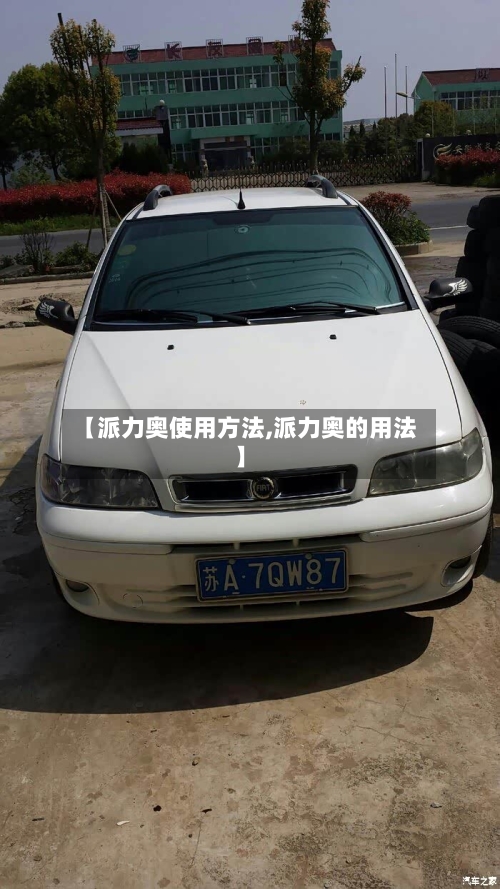 【派力奥使用方法,派力奥的用法】