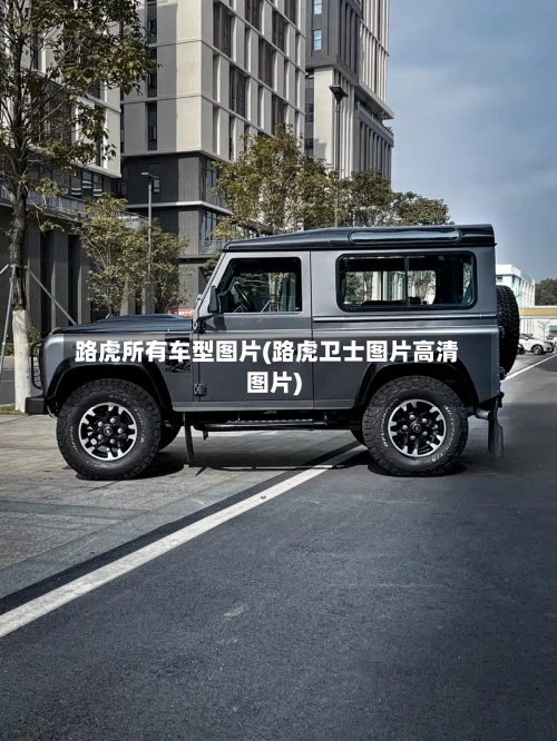 路虎所有车型图片(路虎卫士图片高清图片)-第2张图片