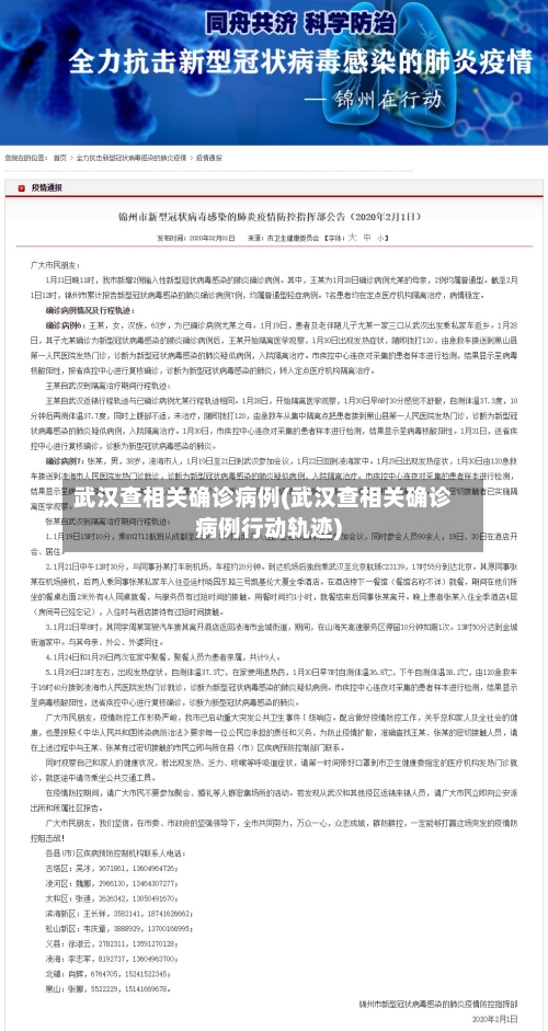武汉查相关确诊病例(武汉查相关确诊病例行动轨迹)-第2张图片