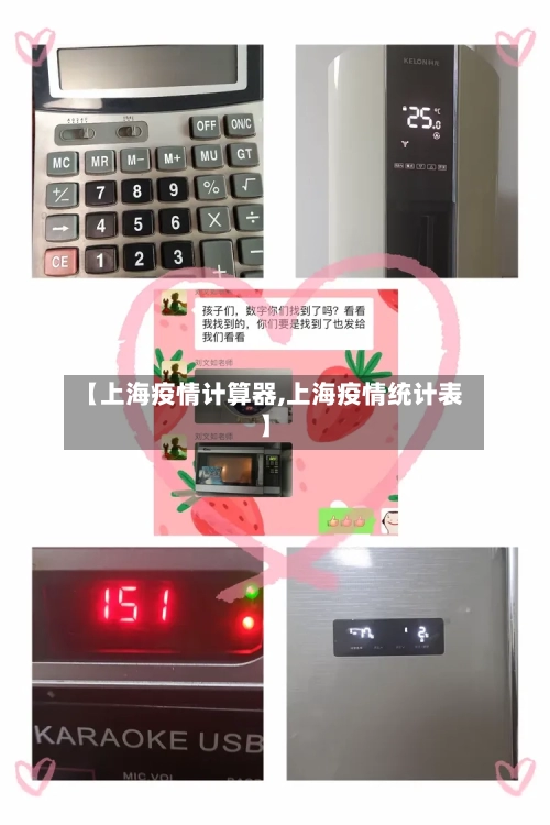 【上海疫情计算器,上海疫情统计表】-第2张图片