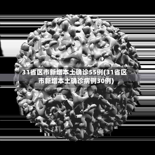 31省区市新增本土确诊55例(31省区市新增本土确诊病例30例)