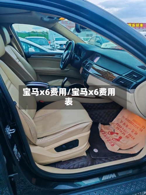 宝马x6费用/宝马x6费用表-第3张图片