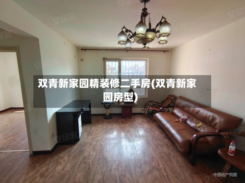 双青新家园精装修二手房(双青新家园房型)-第2张图片