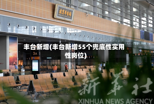 丰台新增(丰台新增55个兜底性实用性岗位)-第3张图片